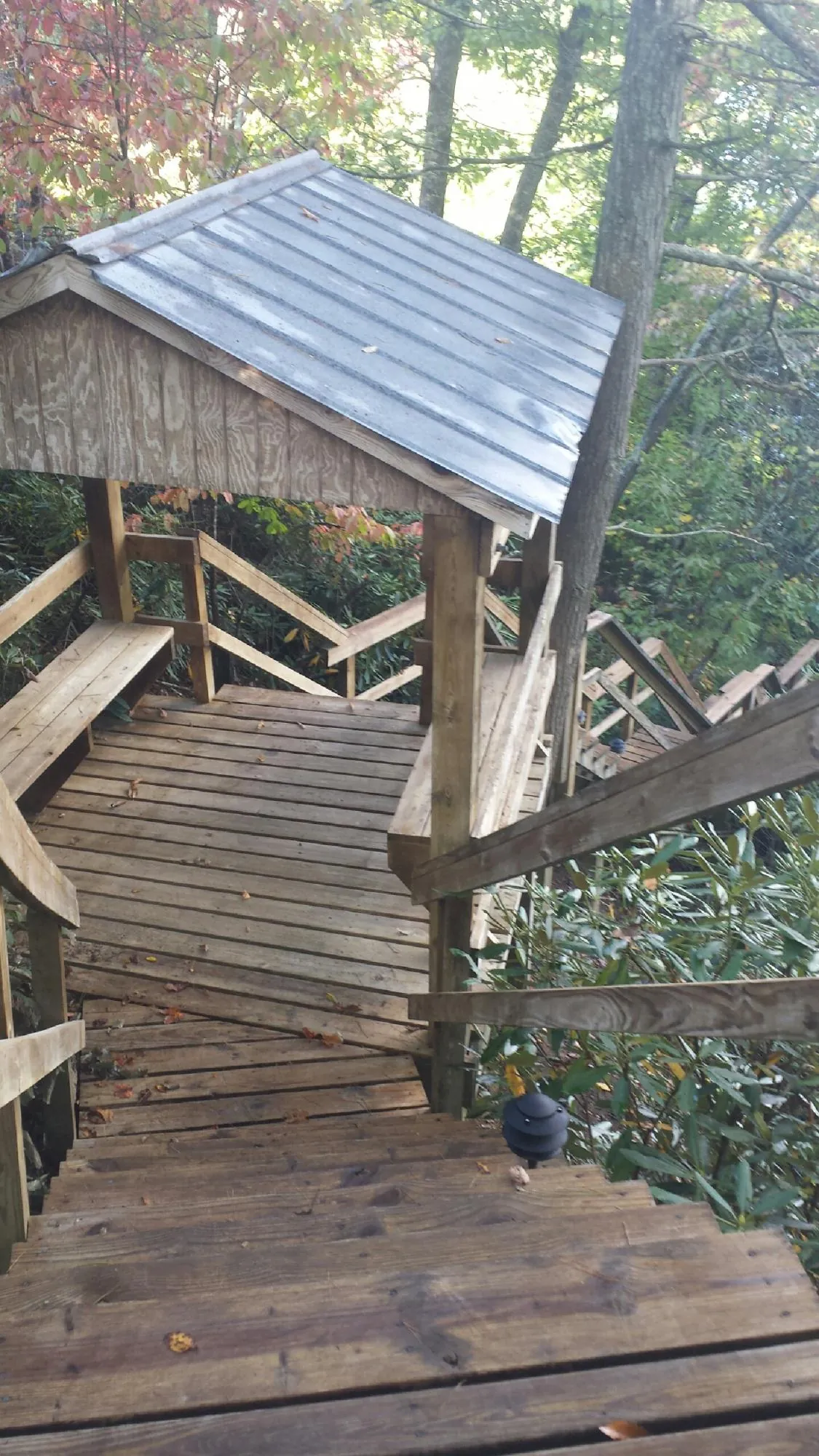 Metal roofed shelter over wooden steps on a wooded walkway — Skylight Repair & Installation work by our crew in Mills River